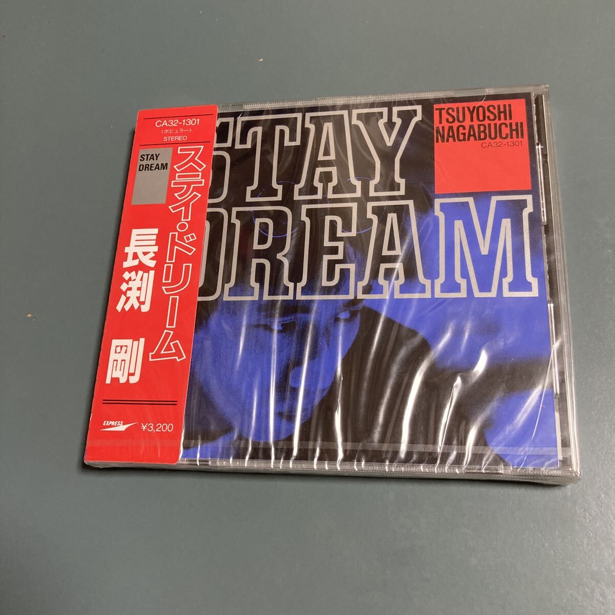 【送料込★未開封CD】長渕 剛★ステイドリーム CA32-1301拍卖