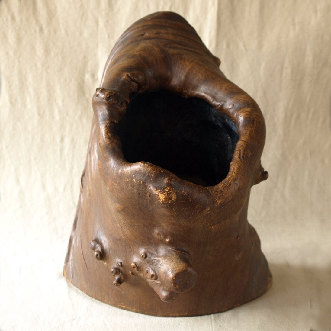 レア珍品 時代 漆塗 栃の木 瘤 変木40cm珍木 侘 寂 オブジェ 花台 飾台 盆栽 花道 茶道 古民藝 天然木 床置 玄関飾 限定拍卖