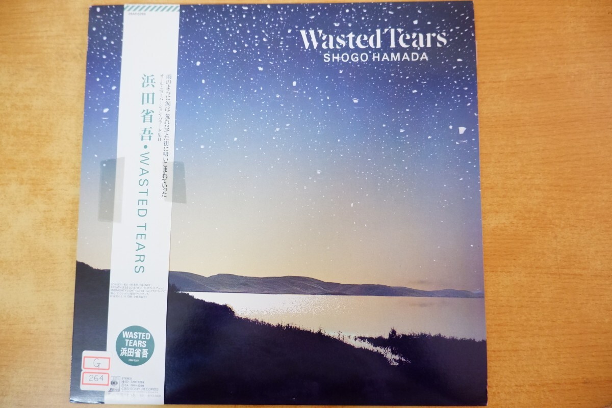 W2-083<帯付LP/美盤>浜田省吾 / WASTED TEARS拍卖