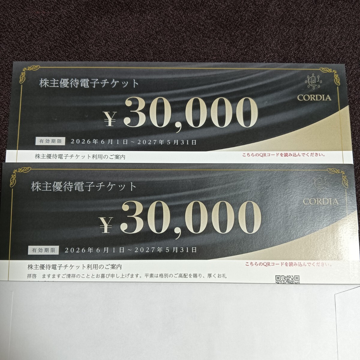 ワキタ 株主優待電子チケット 60,000円分 ホテルコルディア 2027年5月31日まで拍卖