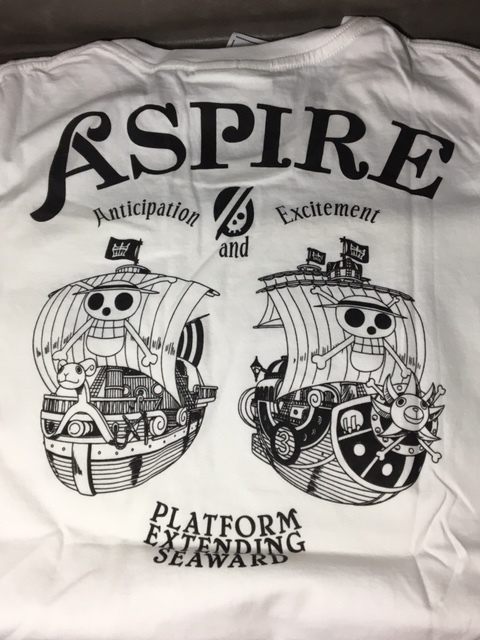 未使用 ONE PIECE × RODEOCROWNS ワンピース ロデオ クラウンズ 限定コラボTシャツ  メリー号  サニー号  サイズS拍卖
