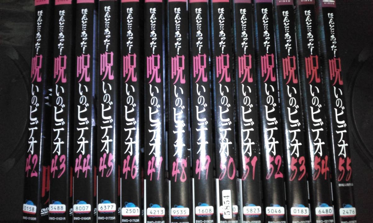 ■レンタル落ちDVD ほんとにあった!呪いのビデオ 42-55 岩澤宏樹 構成・演出作 全14枚拍卖