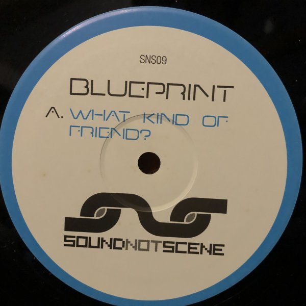 Blue Print / What Kind Of Friend? , With You Awake拍卖