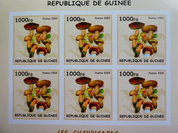 ギニア切手『きのこ』無目打 6枚シート 2002 B-c拍卖
