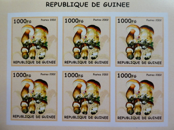 ギニア切手『きのこ』無目打 6枚シート 2002 B-a拍卖