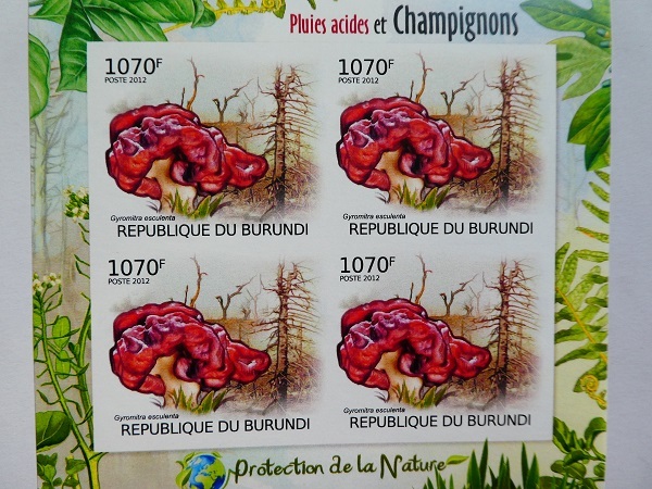 ブルンジ切手『きのこ』無目打 2012 C-d拍卖