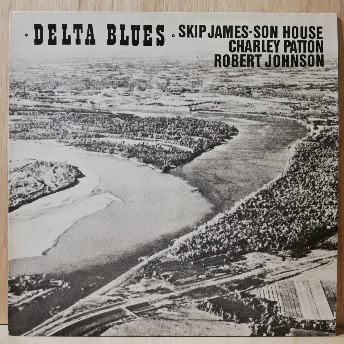 【LP】AUSTRIA盤 ROBERT JOHNSON, CHARLEY PATTON, SKIP JAMES, SON HOUSE - DELTA BLUES - *1拍卖