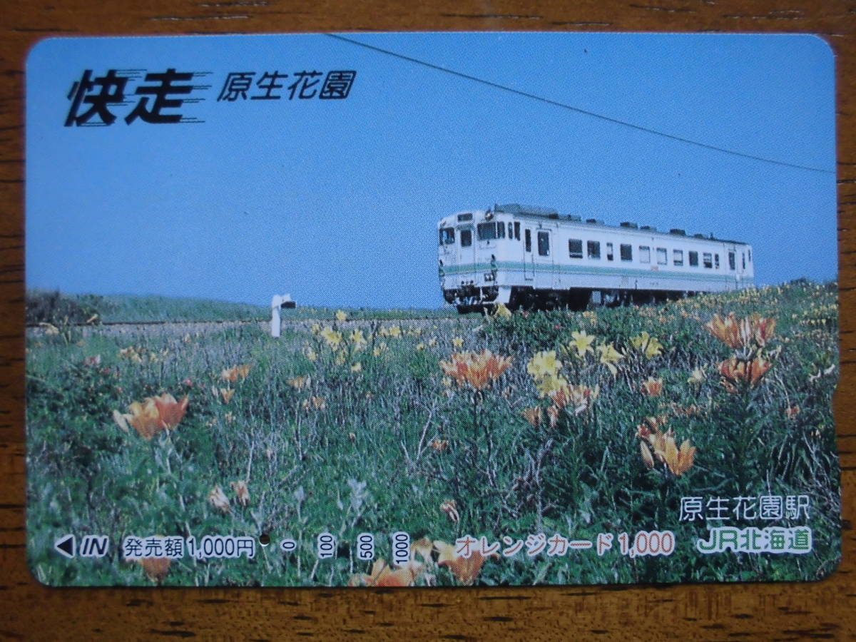 JR北 オレカ 使用済 快走 原生花園 1穴 【送料無料】拍卖