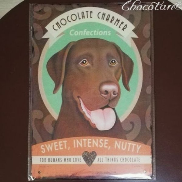 【送料無料】チョコラブラドール ④ メタルサインプレート メタル看板【新品】拍卖