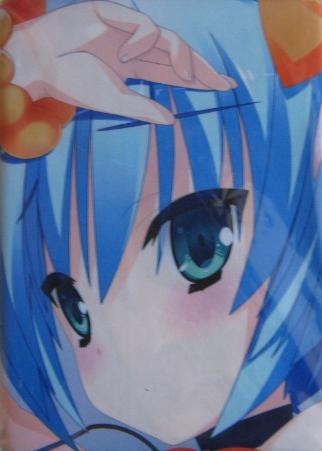 ハナヒメ*アブソリュート!/mirai げっちゅ屋特典抱き枕カバー拍卖