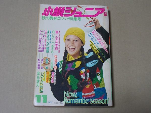 M929 即決 小説ジュニア 昭和49年11月号 林寛子 アグネス・チャン 佐伯千秋 富島健夫 飯田智 1974年11月拍卖