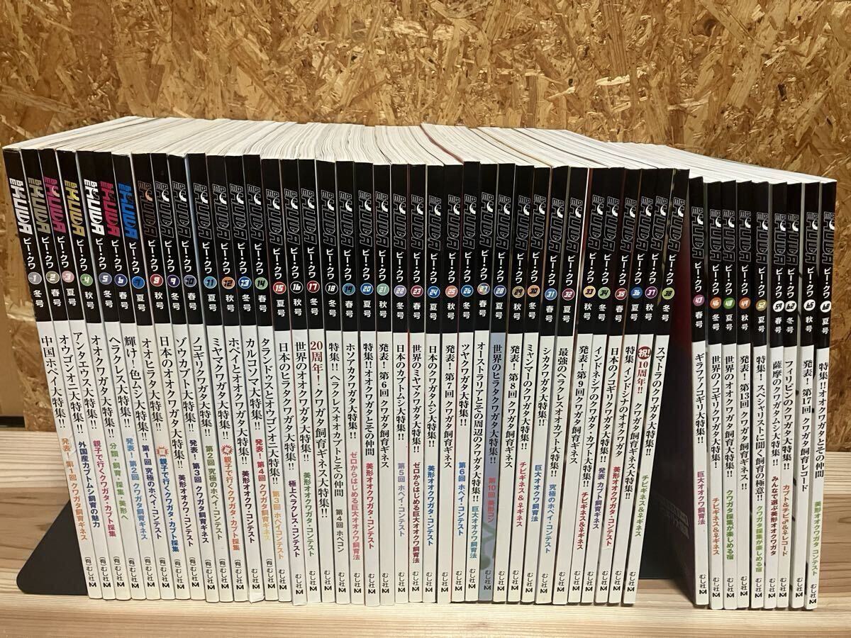 BEKUWA ビークワ創刊号1号〜38号、43、46、48、49、52、59、62、65、68号 47冊セット ヘラクレス オオクワ ツヤクワガタ オオゴンオニ拍卖