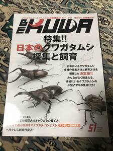 BEKUWA NO51 特集!! 日本のクワガタムシ 採集と飼育 ビークワ拍卖
