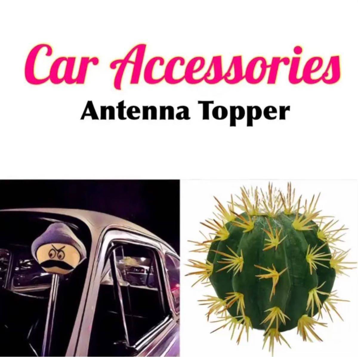 超特大 リアルなサボテン 観葉植物 アンテナトッパー アンテナボール USDM ローライダー アメ車 トラック ワゴン カスタム拍卖