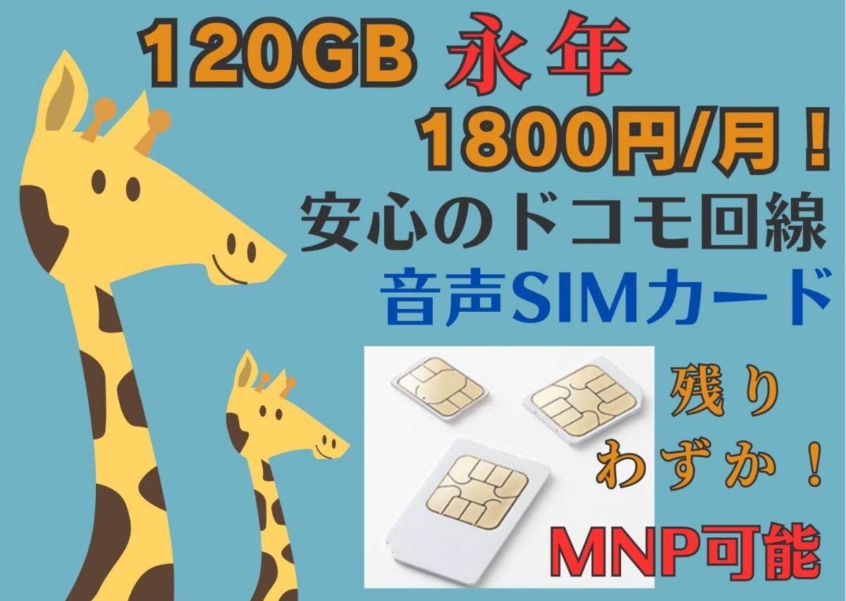 格安SIM 120GB 1800円/月 音声SIM 安心のdocomo回線 MNP可能 期間限定 キャンペーン中のみお申込み可能 格安シム SIMカード SIMフリー拍卖