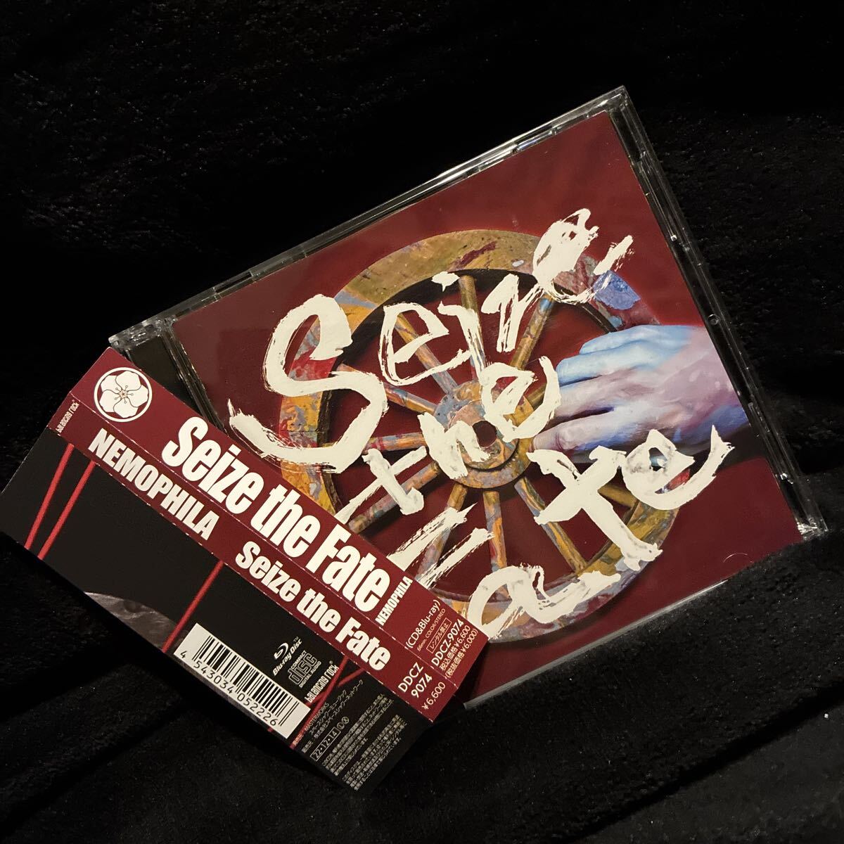 NEMOPHILA/Seize the Fate/初回限定盤/CD+Blu-ray/ネモフィラ/SAKI/葉月/KOIAI/ジャパメタ拍卖
