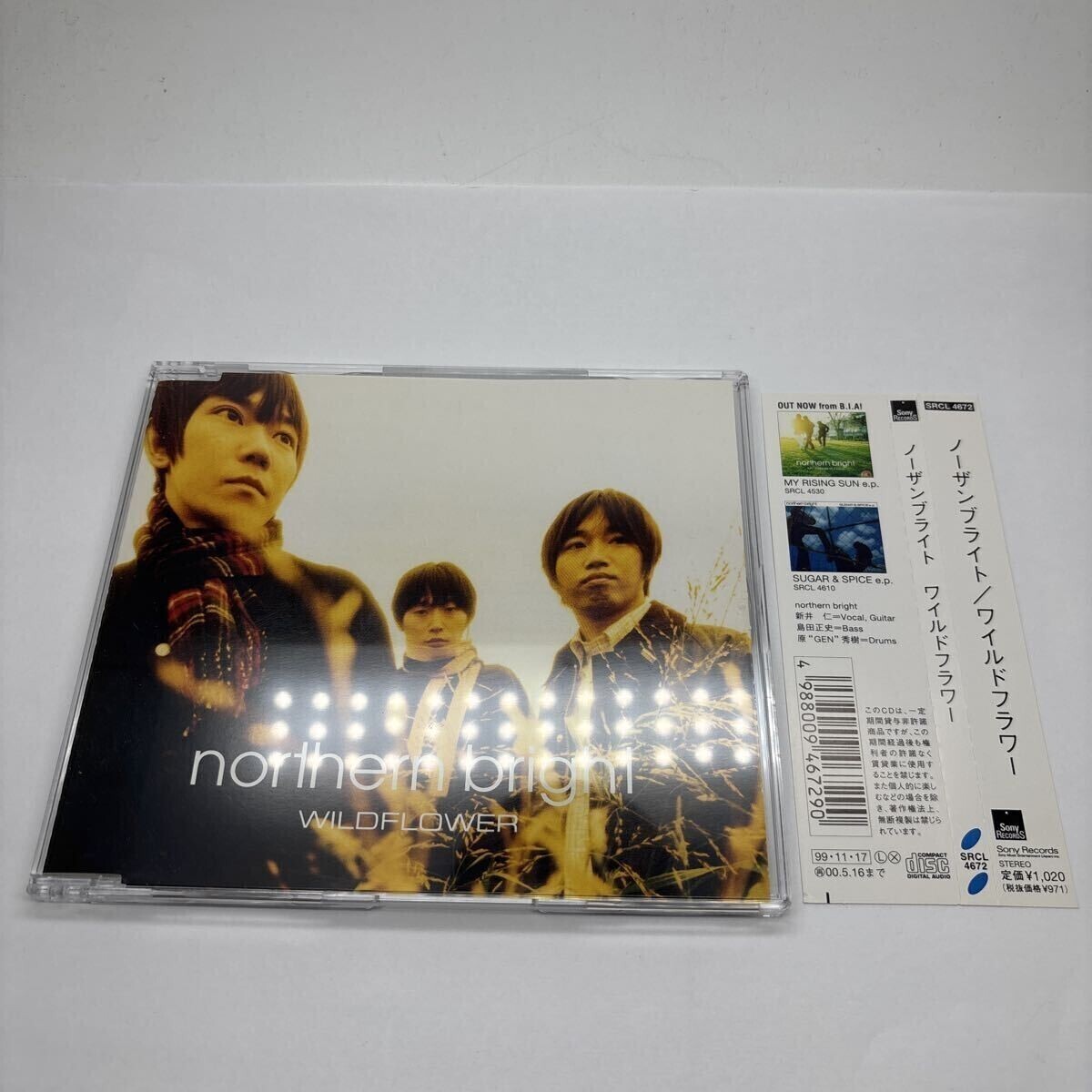 美品 帯あり ノーザンブライト/◆WILDFLOWER CD 帯付拍卖