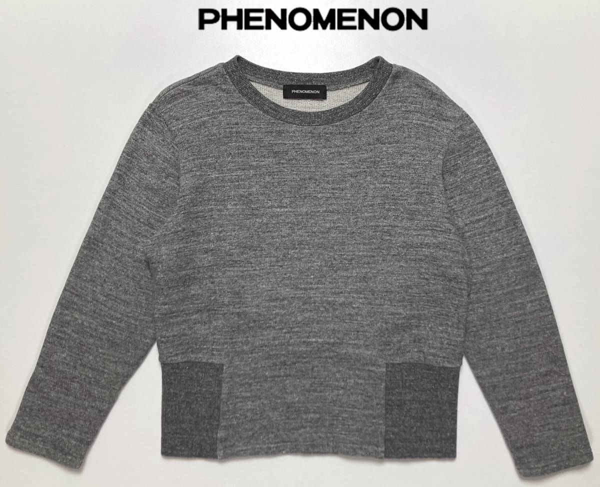 PHENOMENON 13AW 極太裾リブ 38 M スウェット フェノメノン グレー拍卖