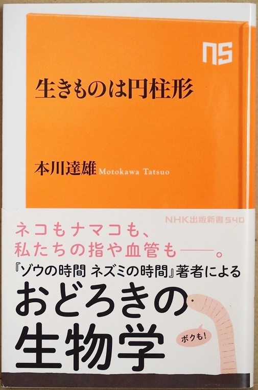 ★送料無料★ 『生きものは円柱形』 闇で蠢く26.5兆円の真実 闇風俗 暴力団産業 貧困ビジネス 闇サイト 富裕層の税金逃れ 門倉貴史 新書拍卖