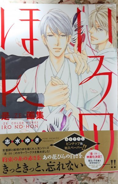 BL志水ゆき「是-ZE-画集 いろのほん」Dear+ ピンナップ封入ペーパーあり拍卖