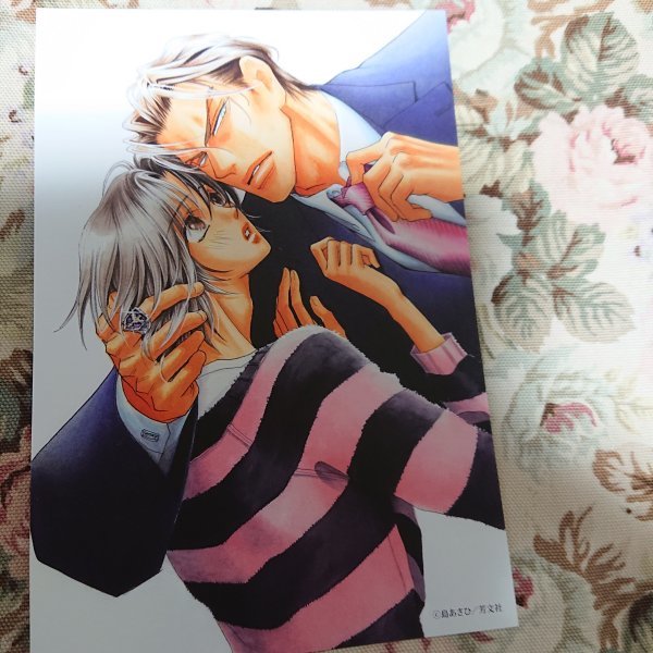 非売品★BL島あさひ「ゴージャス鷹篠一族シリーズ」花音フェア両面イラストカード拍卖