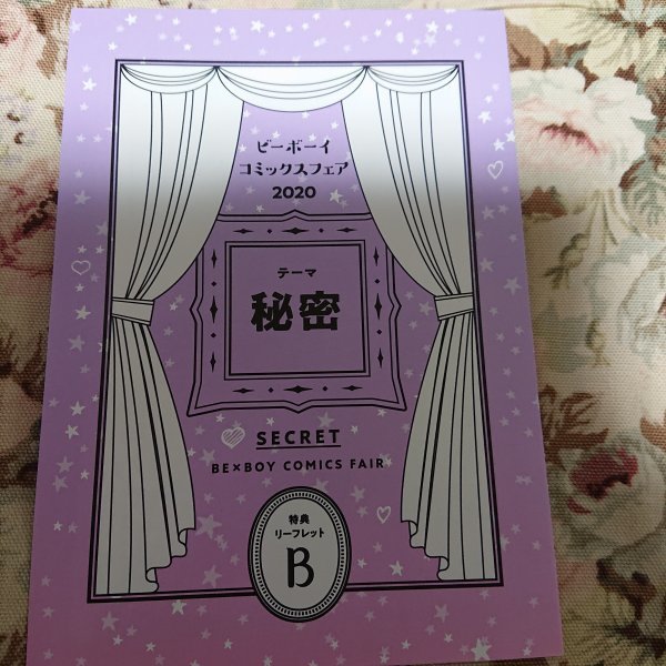 非売品★BL倉橋トモ/寿たらこ/ためこう「ビーボーイコミックスフェア2020 秘密」特典リーフレットB拍卖