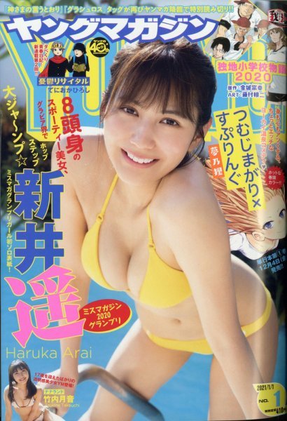 ヤングマガジン 新井遥 ミスマガジン 竹内月音 2021.01.01 no.01/新品 未開封 未読品拍卖