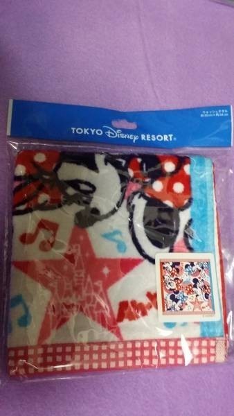 TDR ディズニー ミニー ウォッシュタオル拍卖