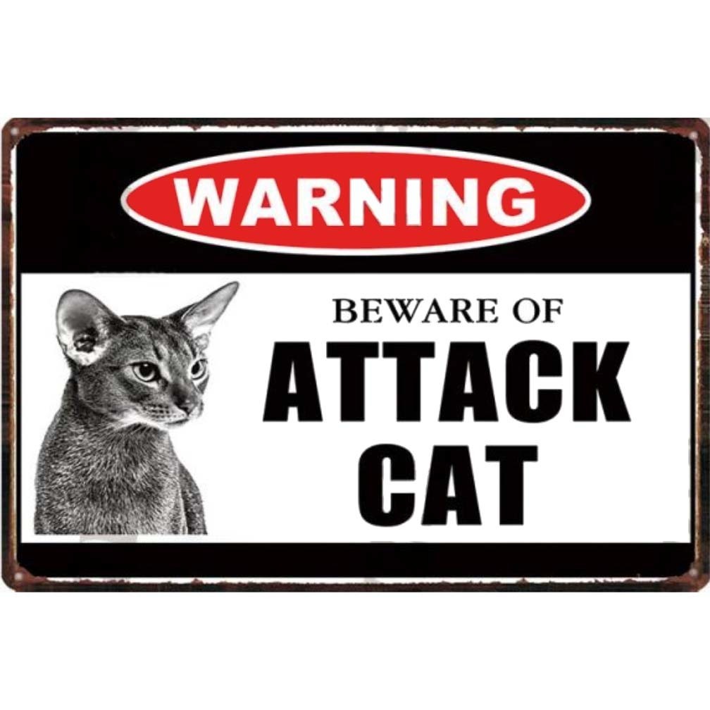 A644 メタル サイン 金属 製 ブリキ 看板 プレート 店 注意 警告 危険 防犯 動物 ペット 可愛い 攻撃 猛 猫 愛 猫【4746拍卖