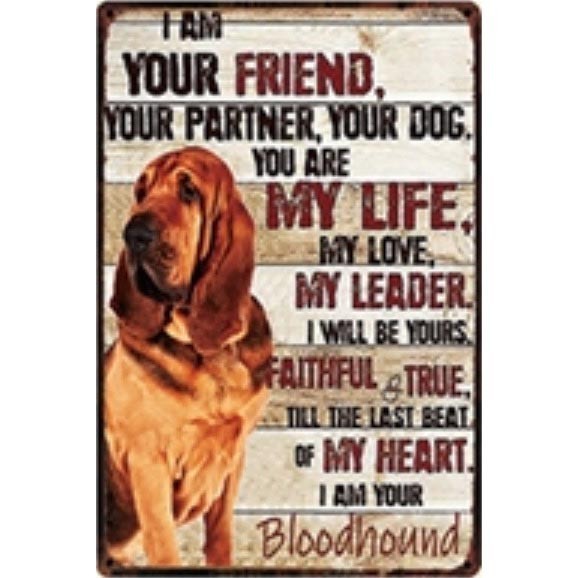A2094 メタル サイン 金属 製 ブリキ 看板 プレート アート パネル 店 注意 動物 ペット 犬 ブラッドハウンド【4979】拍卖