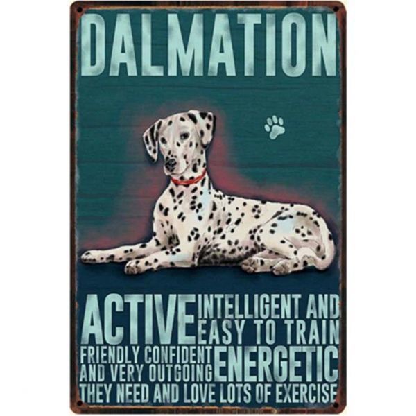 A1674 メタル サイン ブリキ 看板 金属 製 プレート アート パネル 店 注意 動物 ペット 愛 犬 ダルメシアン 【1156】拍卖