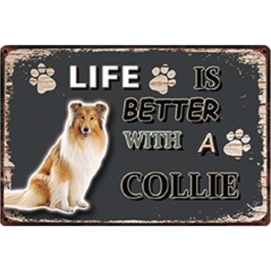 A3162 メタル サイン ブリキ 看板 金属 製 プレート パネル 店 注意 警告 動物 ペット 犬 番犬 LIFE IS コリー【3735】拍卖