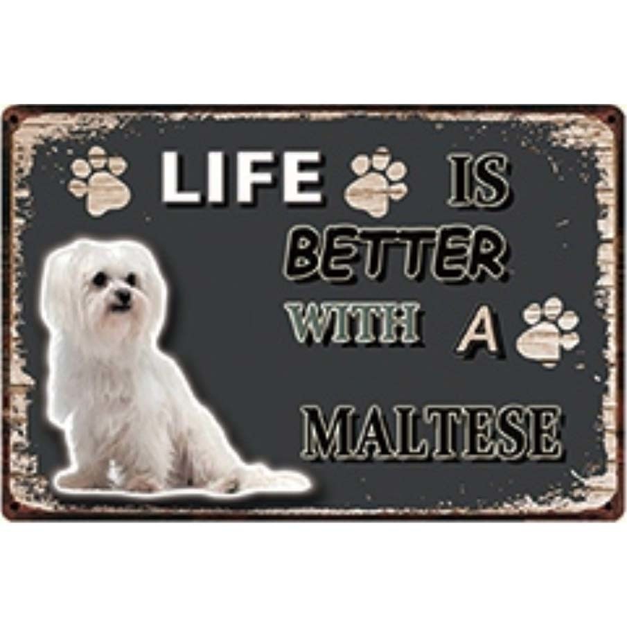 A3175 メタル サイン ブリキ 看板 金属 製 プレート パネル 店 注意 警告 動物 ペット 犬 番犬 LIFE IS マルチーズ【3963拍卖
