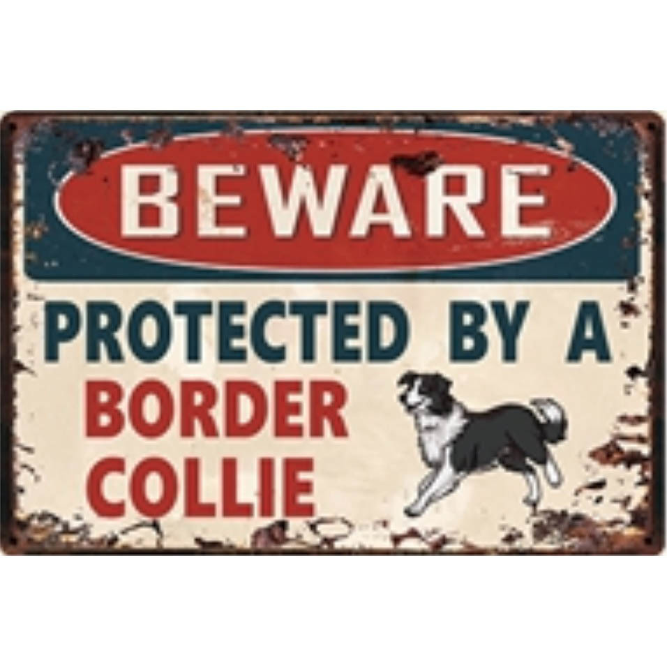 A2798 メタル サイン 金属 製 ブリキ 看板 プレート 店 注意 危険 防犯 動物 ペット 犬 番犬 猛犬 ボーダーコリー 4669拍卖