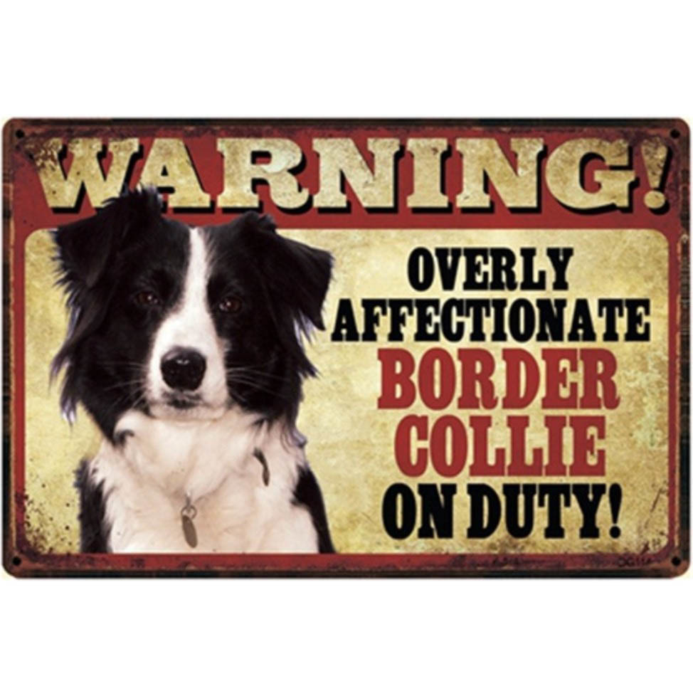 A821 メタル サイン ブリキ 看板 金属 製 プレート 店 注意 警告 危険 防犯 動物 ペット 猛 犬 番犬 ボーダー コリー 【O拍卖