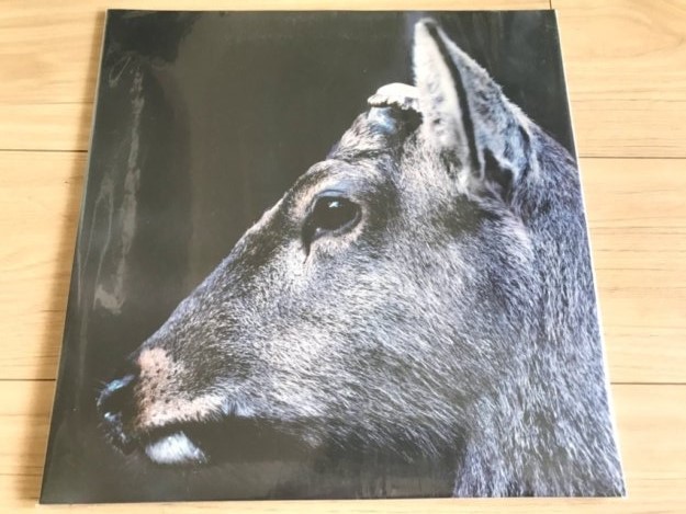 toe LP「The Book About My Idle Plot On a Vague Anxiety」!拍卖