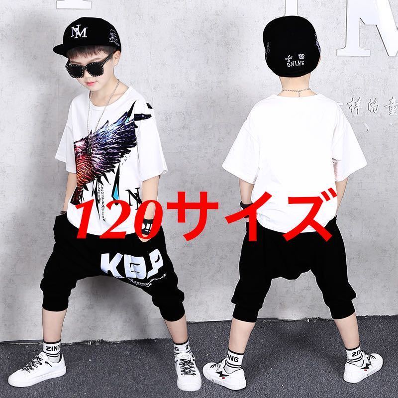 120サイズ 子供 上下 セット拍卖