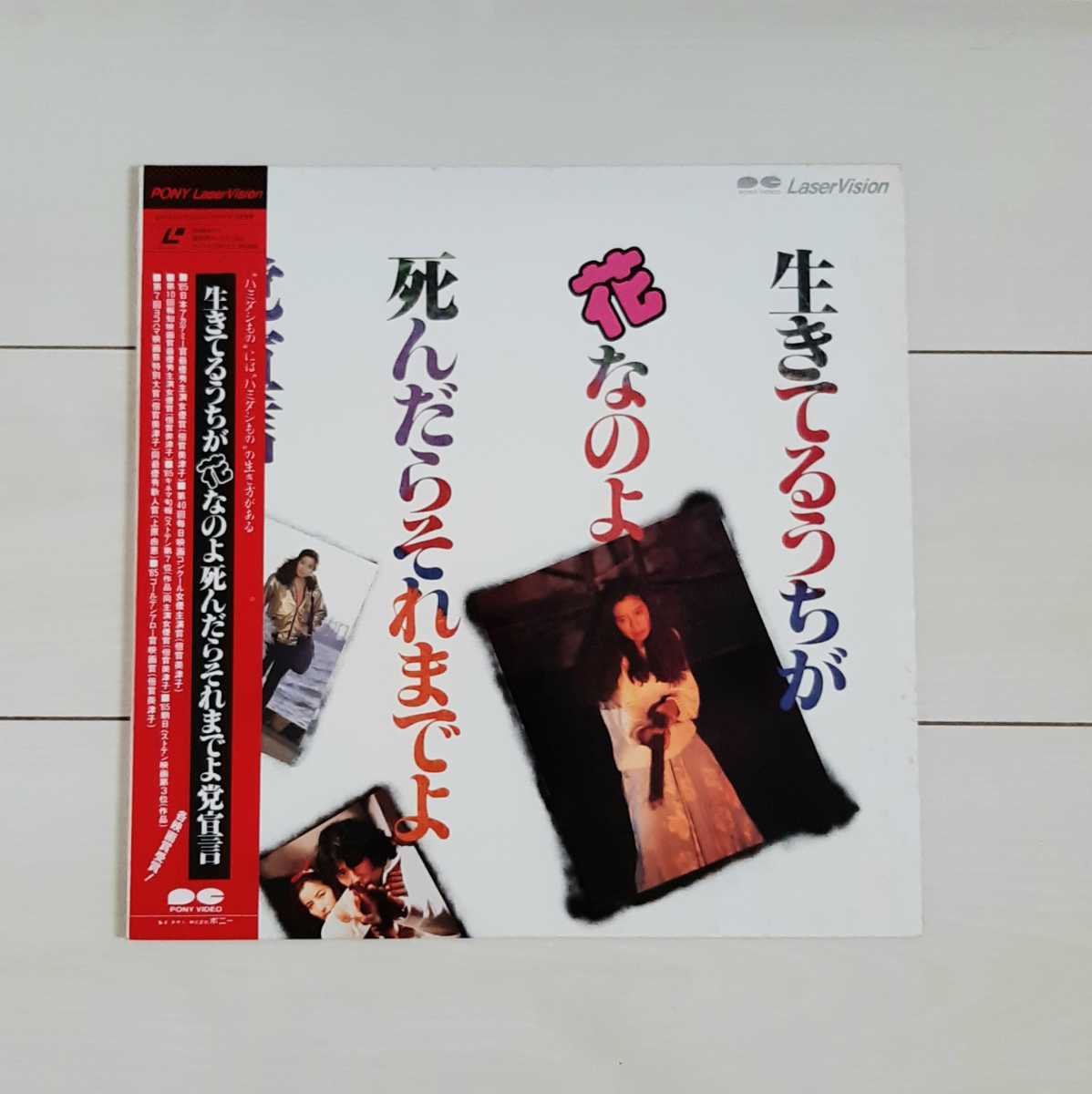 LD 生きてるうちが花なのよ死んだらそれまでよ党宣言拍卖