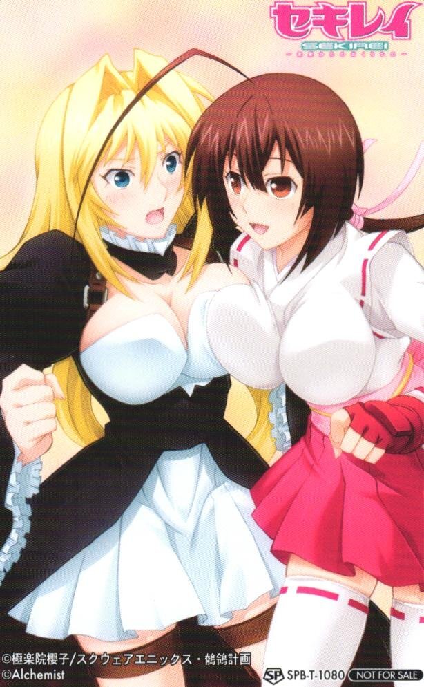★セキレイ-未来からのおくりもの- 極楽院櫻子 ソフマップ特典 非売品 微擦れ有★テレカ50度数未使用mo_90拍卖