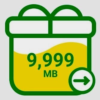 【1円〜】約10GB mineo マイネオ【送無・匿名】パケットギフトコード (9999MB を1件・9.764GB)《1》拍卖