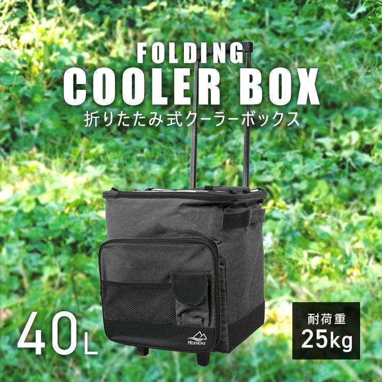 【未使用 ブラック】クーラーボックス 折り畳み クーラーバッグ 40L 保冷バッグ 冷蔵ボックス ソフトクーラーボックス キャンプ用品拍卖