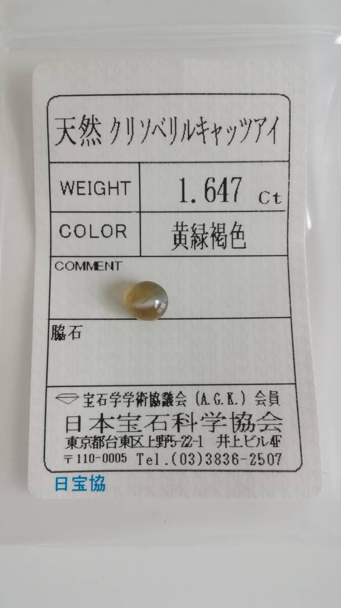 天然 クリソベリルキャッツアイ ルース 6.2x5.8x4.5mm、1.647ct ソーティング付き 拍卖