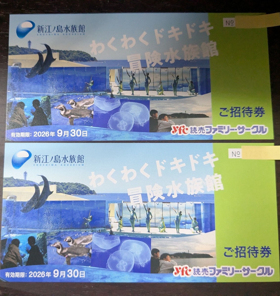 新江ノ島水族館 ご招待券 2枚セット 有効期限2026年9月30日拍卖