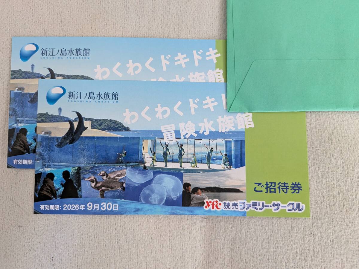 新江ノ島水族館 ご招待券 ペア拍卖