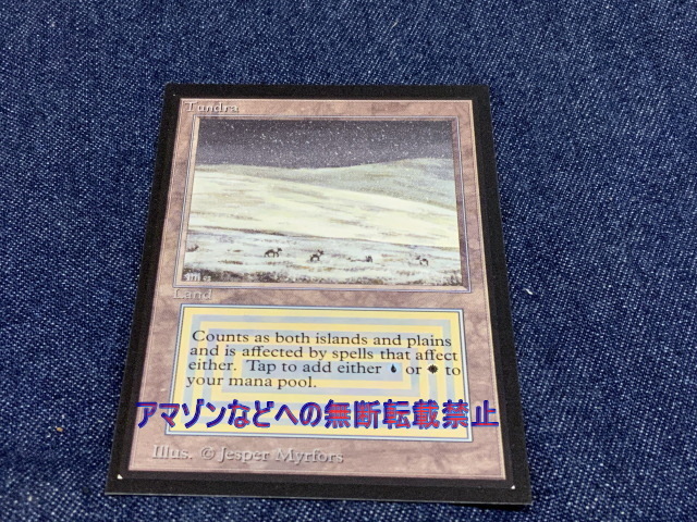 Magic the Gathering マジック・ザ・ギャザリング MTG Tundra (IE) International Edition (IED)拍卖