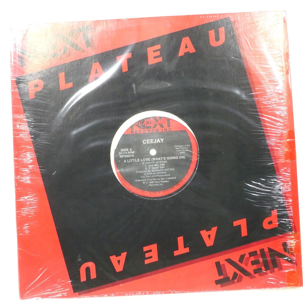 US盤 CEE JAY A LITTLE LOVE (WHAT'S GOING ON) NEXT PLATEAU NP50074 1x12拍卖