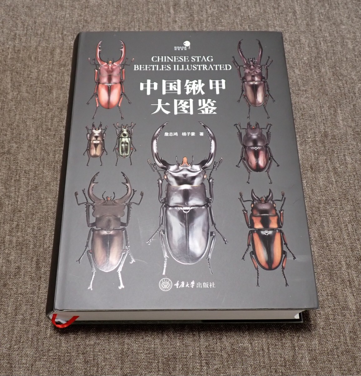 昆虫図鑑 中国クワガタムシ大図鑑 新品 未使用品拍卖