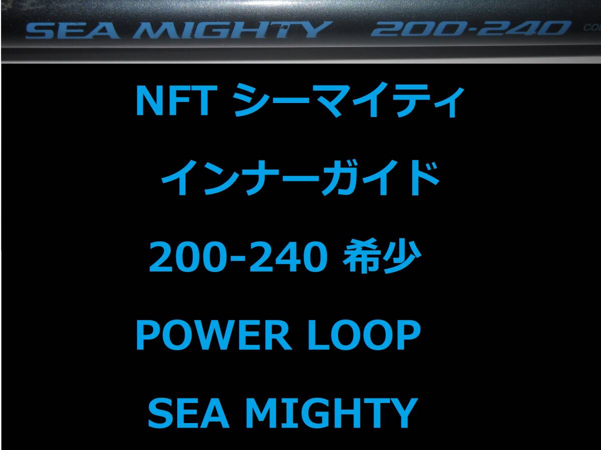 希少 NFT パワーループ アドバンス インナーガイド シーマイティ 200-240 POWER LOOP ADVANCE SEA MIGHTY INNER GUIDE 並継拍卖