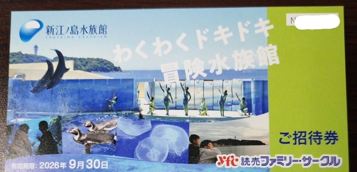 新江ノ島水族館 ご招待券 ラスト1枚 有効期限2026年9月30日拍卖
