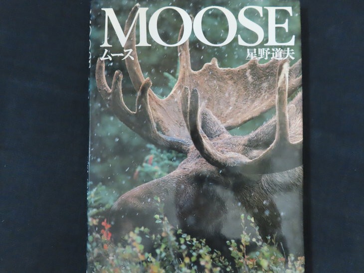 oh08/MOOSE ムース 星野道夫 平凡社 1998年拍卖